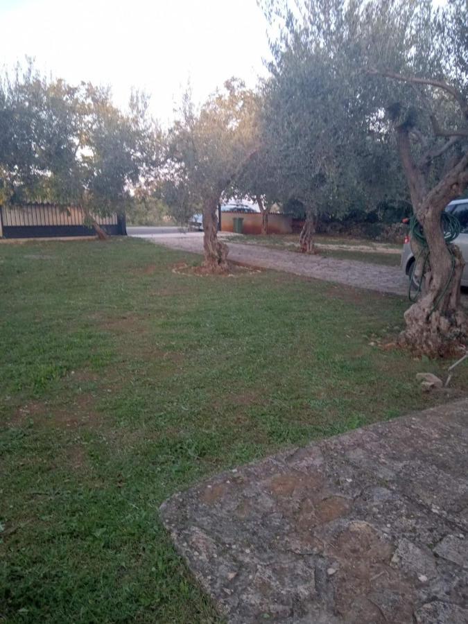 Apartman Krcina Krnica Εξωτερικό φωτογραφία