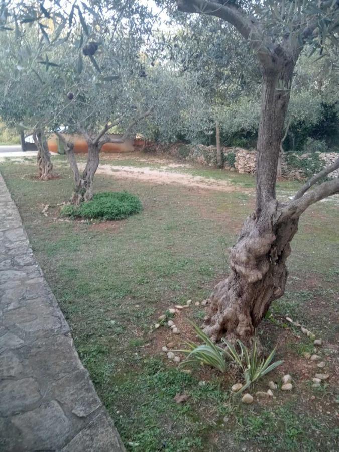 Apartman Krcina Krnica Εξωτερικό φωτογραφία