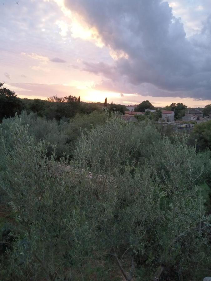 Apartman Krcina Krnica Εξωτερικό φωτογραφία